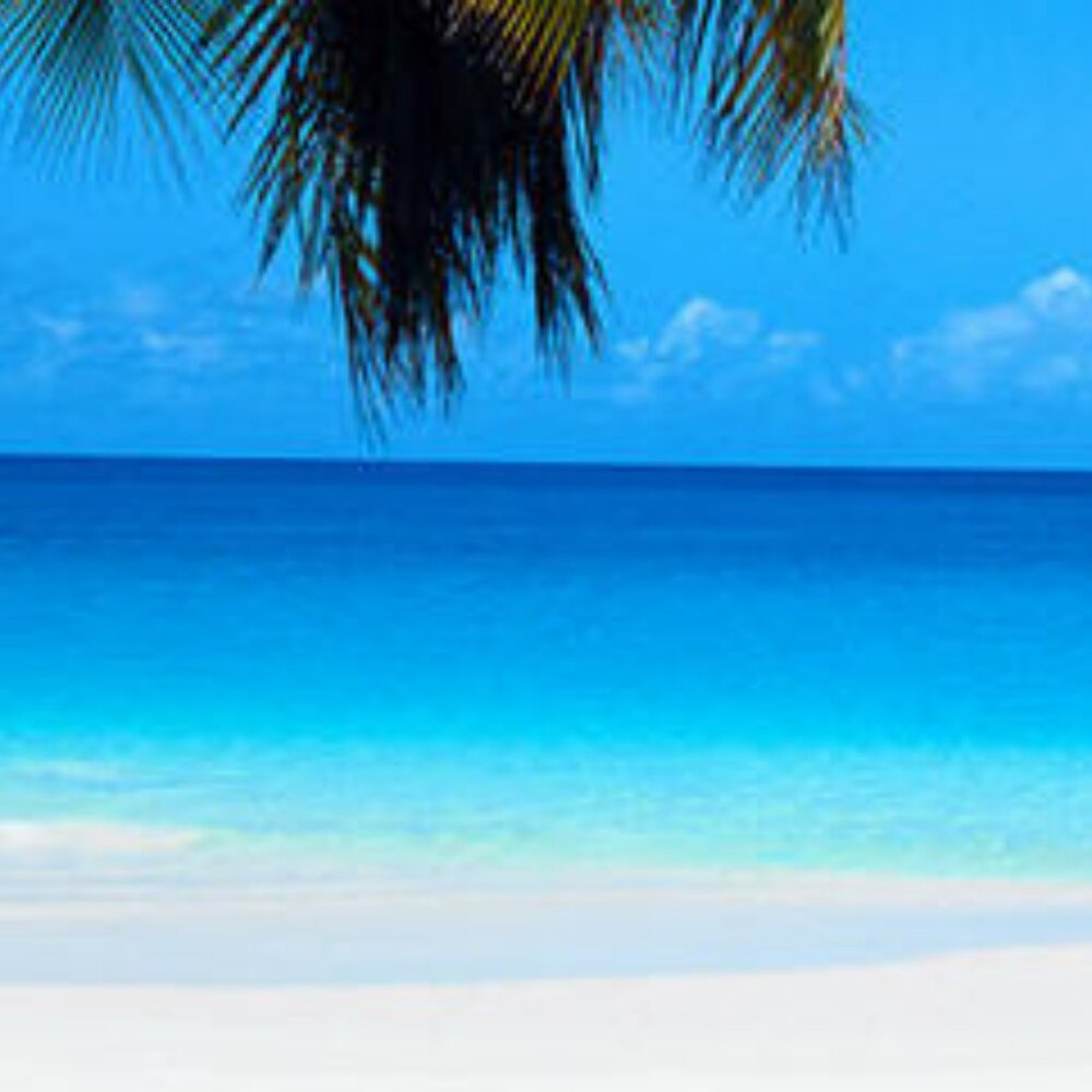 Meet your Posher, Xoey